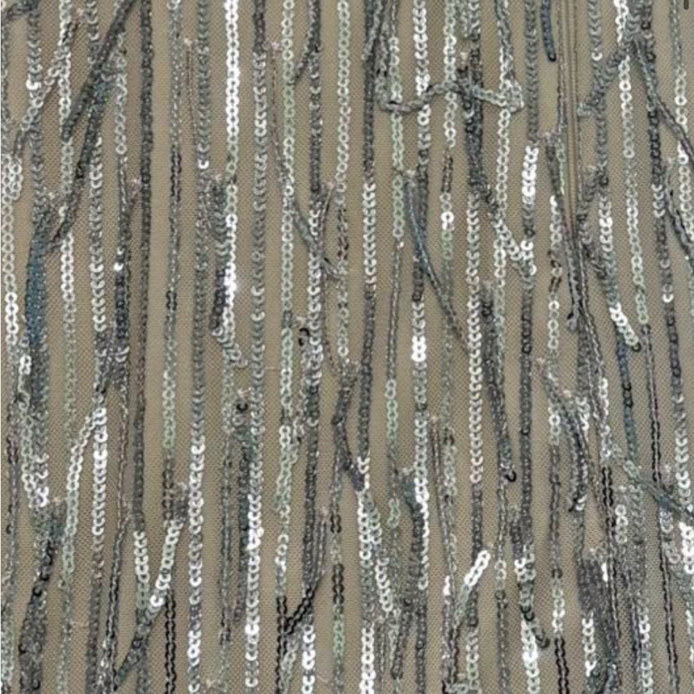 NWT Francesca's Sequin Fringe Dress by Blue Rain - Picture 6 of 8